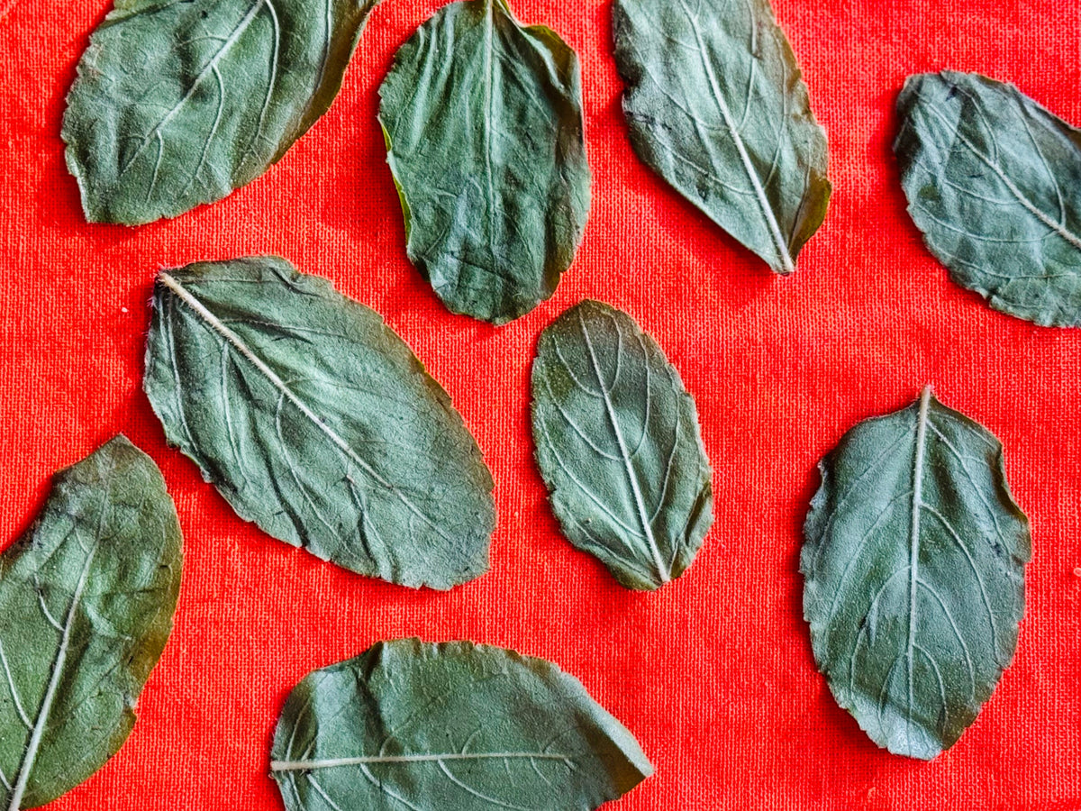 Bild von Khadi Ayurveda Produkten und Philosophie