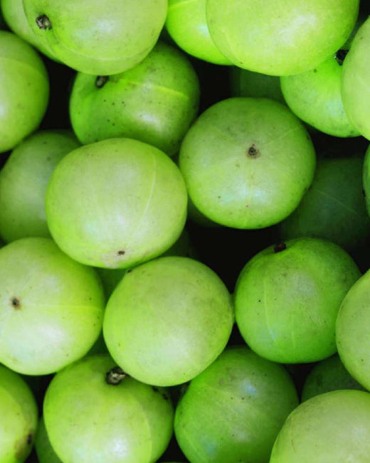 Szampon Amla Produkt stosowany przez khadi